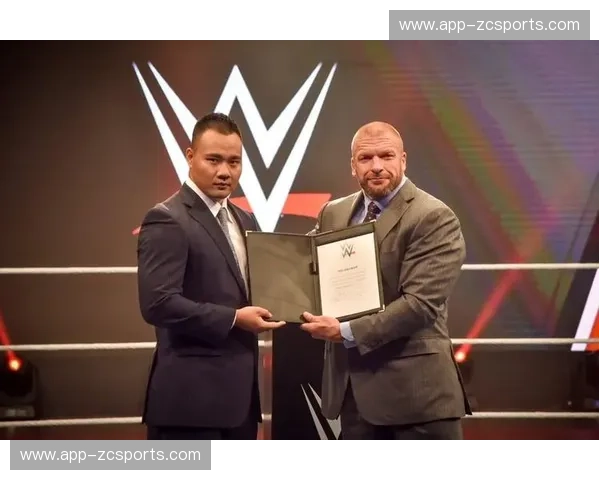 WWE中的性别碰撞:力量、技巧与魅力的交织